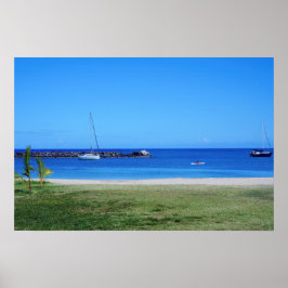 Landschaftliches hawaiianisches Küstenansicht-Post Poster