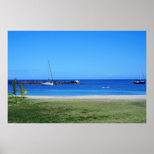 Landschaftliches hawaiianisches Küstenansicht-Post Poster (Vorne)