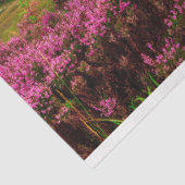 landschaftliches Irland Seidenpapier (Ausschnitt)