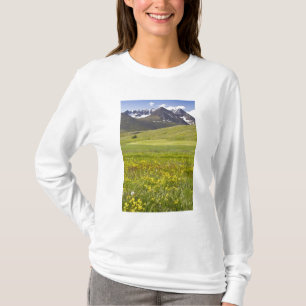 Landschaftliches Panorama des Svarfadardalur-Tals T-Shirt