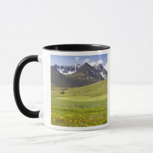 Landschaftliches Panorama des Svarfadardalur-Tals Tasse