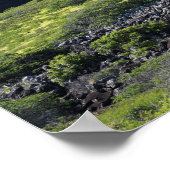 Landschaftliches Poster (Ecke)