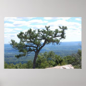 Landschaftliches Poster (Vorne)