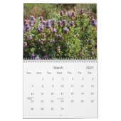 Landschaftliches Südnevada 2008 Kalender (Mär 2027)