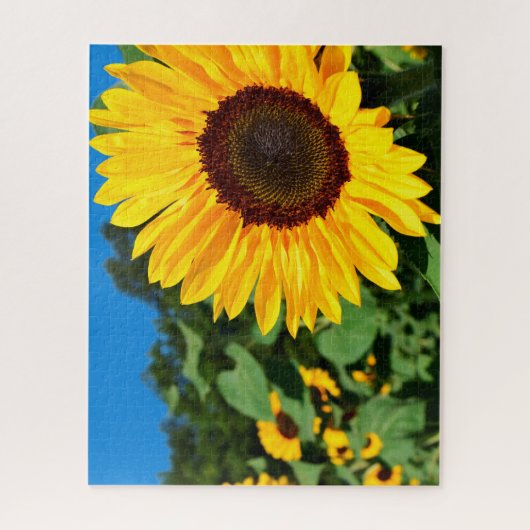 Landschaftliches Thema Sonnenblumen Puzzle (Vertikal)