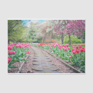 Landschaftliches Tulip Path Tissue Paper Seidenpapier