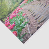 Landschaftliches Tulip Path Tissue Paper Seidenpapier (Ausschnitt)