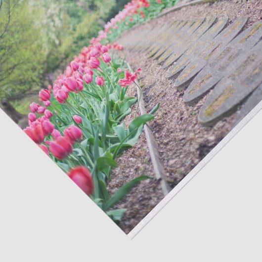 Landschaftliches Tulip Path Tissue Paper Seidenpapier (Ausschnitt)