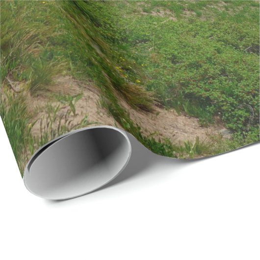 Landschaftliches Wandern Snowy Range Berggipfel Wy Geschenkpapier (Rolleneckpunkt)