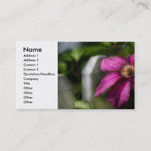 Landschaftsbau - Clematis - Majestät Visitenkarte