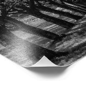 Landschaftsbäume Fotodruck (Ecke)