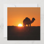 Landschaftsbild der tunesischen Wüste mit Kamel (Vorderseite)