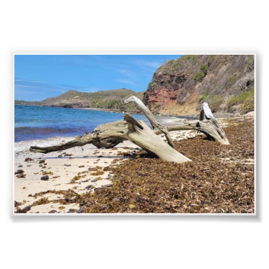 Landschaftsbild Fotodruck (Vorne)