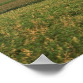 Landschaftsbild im Mittleren Westen 16x20 Poster (Ecke)