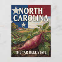 Landschaftsbild North Carolina State Pride 🏞️