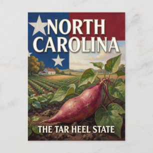 Landschaftsbild North Carolina State Pride 🏞️ Postkarte