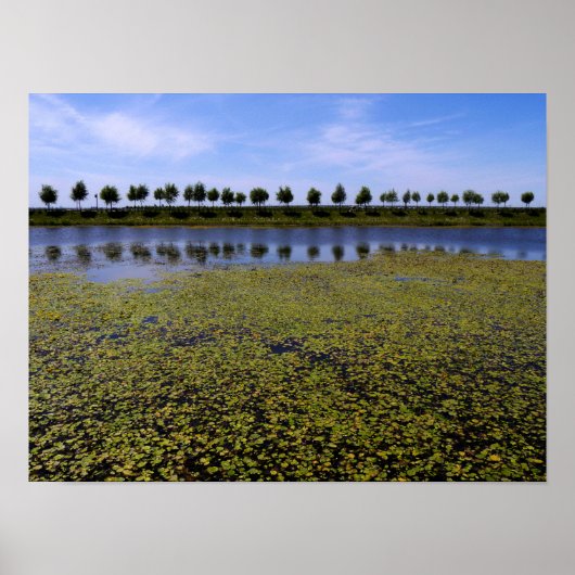 Landschaftsbild Poster (Vorne)