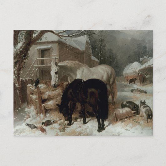 Landschaftsbild Postkarte (Vorderseite)