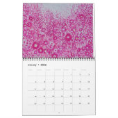 Landschaftsbilder und Fotografie 2025 Kalender (Jan 2026)