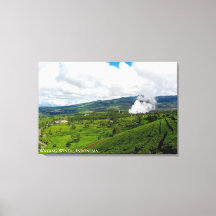 Landschaftsfotografie der Teeplantage Mountain Hil