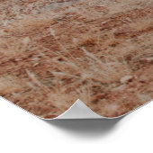 LANDSCHAFTSFOTOGRAFIE DES BERGES POSTER (Ecke)