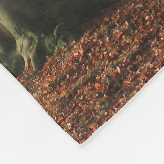 Landschaftsfotografie Herbstbäume Fleecedecke (Ecke)
