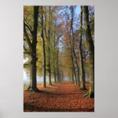 Landschaftsfotografie Herbstbäume Poster (Vorne)