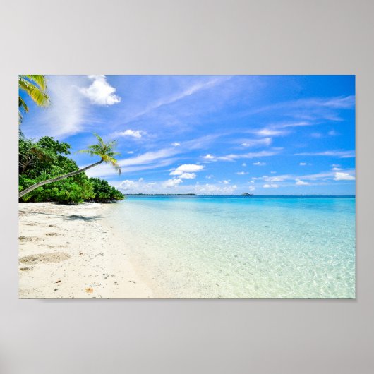 Landschaftsfotografie von Bäumen an der Küste Poster (Vorne)