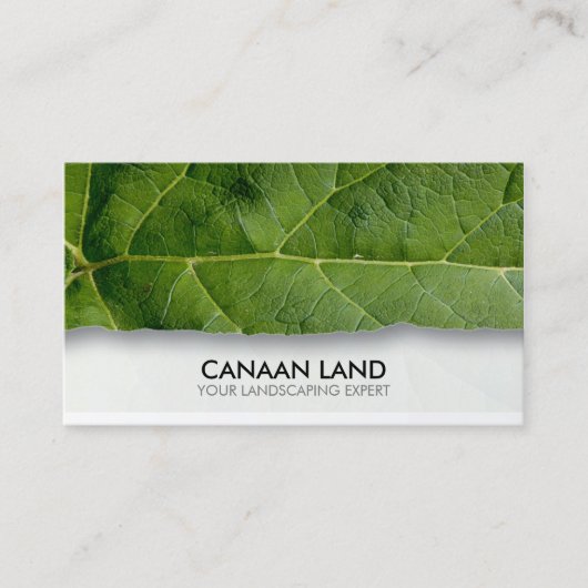 Landschaftsgärtner Visitenkarte (Vorderseite)