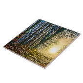 Landschaftsgestaltung 276 fliese (Seite)