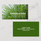 Landschaftsgestaltung der Visitenkarte (Vorne/Hinten)