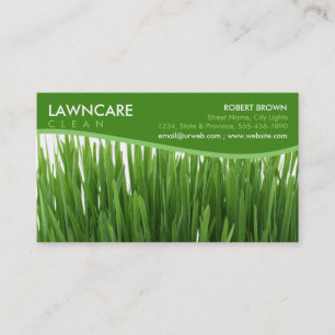 Landschaftsgestaltungs-Gärtner-Gras säubern Natu Visitenkarte