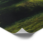 Landschaftsgrün: Hell gestrichene Ruhe Poster (Ecke)