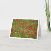 Landschaftskarte für Mohnfelder Karte (Vorderseite)