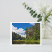 Landschaftslandschaft Canal Sky Belarus Postkarte (Stehend Vorderseite)