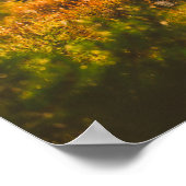 Landschaftslandschaft Forest Spiderweb Poster (Ecke)