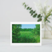 Landschaftslandschaft Grüner Feldwald Postkarte (Stehend Vorderseite)
