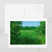 Landschaftslandschaft Grüner Feldwald Postkarte (Vorne/Hinten)