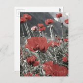 Landschaftslandschaft Roter Mohn Blume Postkarte (Vorne/Hinten)