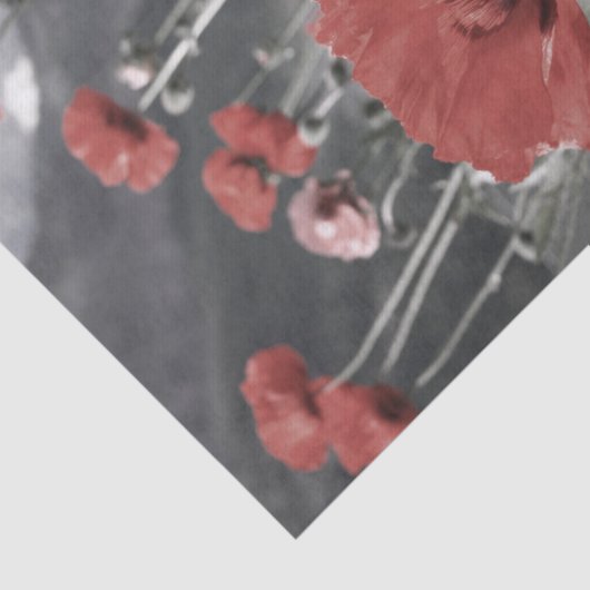 Landschaftslandschaft Roter Mohn Blume Seidenpapier (Ausschnitt)