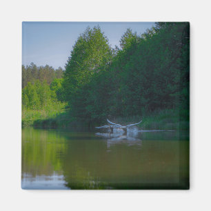 Landschaftslandschaft Schwäne fliegen Magnet