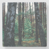 Landschaftslandschaft Wald Birkenbäume Steinuntersetzer (Vorderseite)
