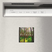 Landschaftslandschaft Wald Weißrussland Magnet (In Situ (Geschirrspüler))