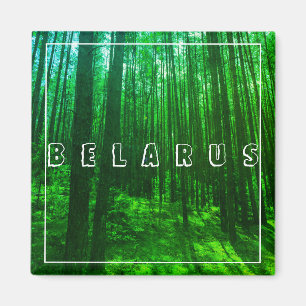 Landschaftslandschaft Wald Weißrussland Magnet