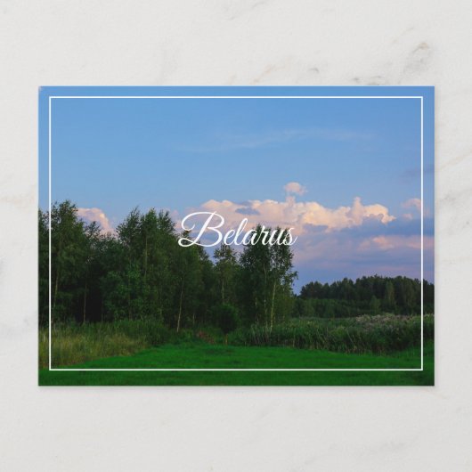 Landschaftslandschaft Wiese Belarus Postkarte (Vorderseite)