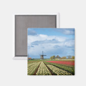 Landschaftsmagnet für Windmühle und Tulpen Magnet (Vorderseite/Rückseite)