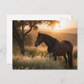 Landschaftspferd Postkarte (Vorne/Hinten)