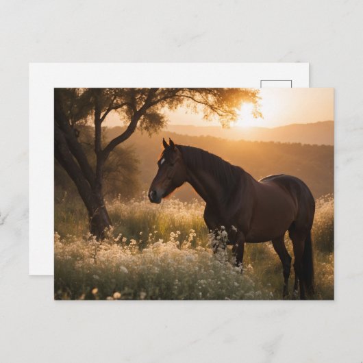 Landschaftspferd Postkarte (Vorne/Hinten)