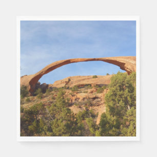 Landschaftspflege Arche beim Nationalpark Arches Serviette