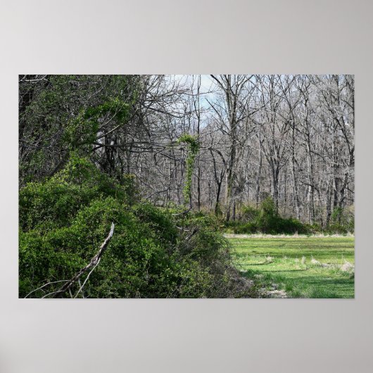 Landschaftspflege Foto Poster (Vorne)